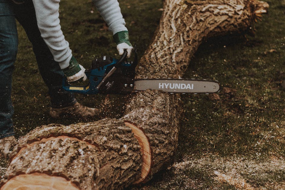 A man cuts a large tree trunk with a chainsaw outdoors, showcasing manual labor and equipment.